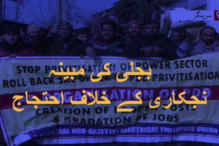 central non gazetted employees union protests against privatization of electricity department