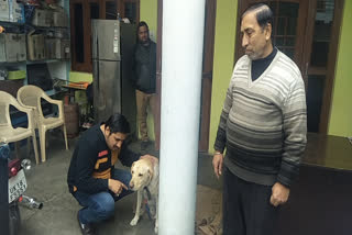 dog owner controversy kashipur, कुत्ते का लेकर दो पक्ष में लड़ाई