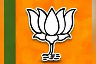 BJP to announce its national president today  BJP national president news  അമിത് ഷാ  ബിജെപി വാര്‍ത്തകള്‍  ബിജെപി പുതിയ പ്രസിഡന്‍റ് വാര്‍ത്ത