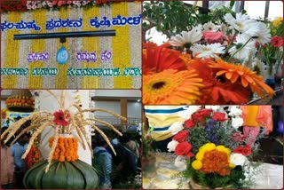 Flower Show in Dharwad VV Agriculture Fest
