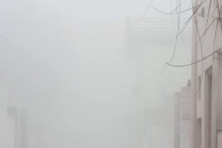 भीलवाड़ा न्यूज,  fog in Bhilwara, Bhilwara news, भीलवाड़ा मौसम न्यूज