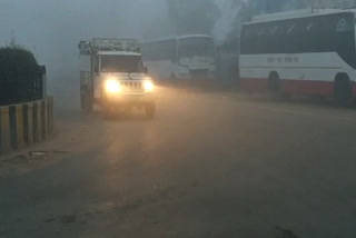 चूरू न्यूज, कोहरे का सितम, चूरू में घना कोहरा, Churu News, fog seams, thick fog in Churu