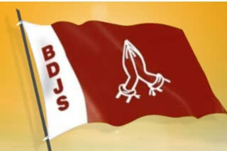 BDJS State Committee Today; Action to be taken against Subhash Vasu  ബിഡിജെഎസ് സംസ്ഥാന കമ്മിറ്റി ഇന്ന്; സുഭാഷ് വാസുവിനെതിരെ നടപടി പ്രഖ്യാപിക്കും