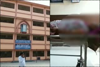 Student commits suicide