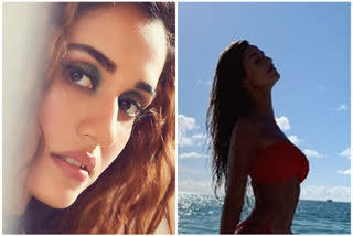 Disha Patani malang look, disha patani Beach look from Malang film, disha patani, aditya roy kapoor song in malang, Malang film trailer, Malang film latest news, दिशा पटानीचा मलंगमधील लुक, Malang film release date