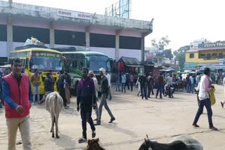 no-driniking-water-facility-in-panna-bus-stand