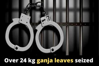 Two women arrested, over 24 Kg ganja leaves seized in Haryana