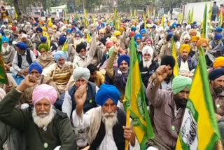 mansa farmers protest against punjab government
