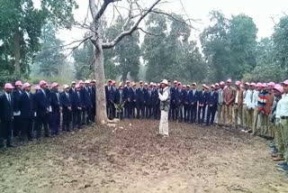 School children tour the jungle at the conclusion of anubhuti programme in umariya