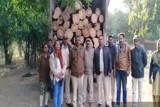 forest-department-seized-a-truck-loaded-with-illegal-teak-woods-costing-20-lakhs-in-hoshangabad