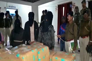 Hemp worth crores of rupees recovered in Gumla