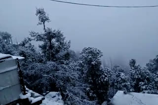 Heavy snowfall brings trouble for tourists