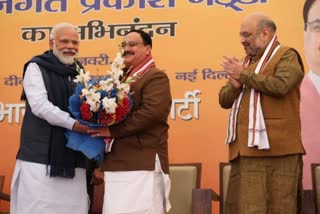 political journey of bjp president jp nadda