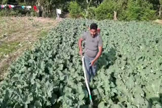 farmer-made-compost-sprinkler-machine-in-raisen