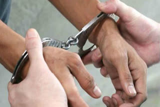 STF busts interstate cricket betting racket, 11 arrested