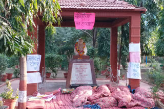 Student hunger strike, indore