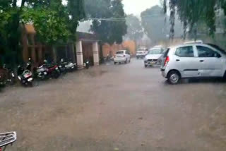 Weather took turn in haryana