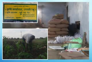 Farmers in Latur district suffer loss due to fake Seeds sowing of soybean crop