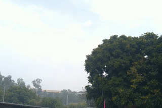 Weather cold in Chandigarh