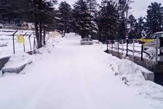 snowfall happened in shimla