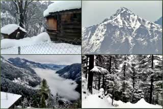 snowfall in Himachal pradesh