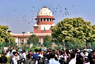 curative-petition-filed-in-ayodhya-verdict