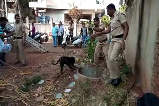 A dog that fell into an open well