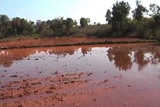 red water in balod agricultural land