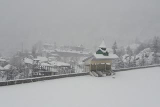 Snowfall in rampur shimla