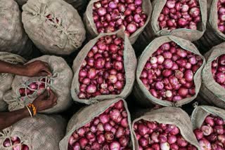 onion Market