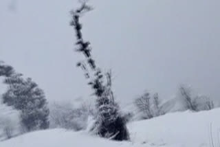 pepole facing problem due to snowfall in chamba