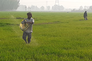 Union Budget 2020: Amritsar farmers demand separate budget for agriculture sector