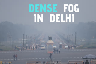 Delhi  Dense Fog  Trains Delayed  Flights Diverted  Delhi Airport  Cold Wave  ഡല്‍ഹിയില്‍ കനത്ത മൂടല്‍മഞ്ഞ്  ട്രെയിന്‍ വൈകി  വിമാന സര്‍വീസ് വൈകി  ഡല്‍ഹി വിമാനത്താവളം
