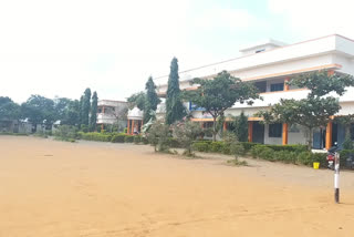 greenary school