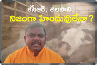 mla-rajasingh-fire-on-kcr-and-minister-talasani