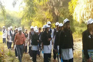 schoolgirls tour of the forest