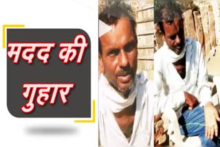 barmer news  sewana news  kidney affected bhanwaroo Khan  need help news