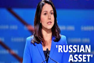 Tulsi Gabbard