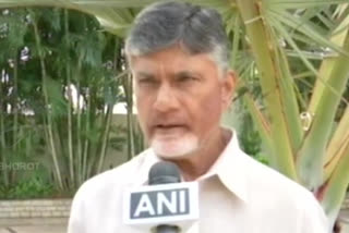 chandrababu interview to ani