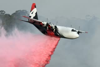 Three US firefighters killed in Australia water bomber crash