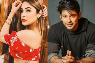 Bigg Boss 13: Shehnaz Gill hits Sidharth Shukla