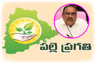 'Special funds for panchayats that perform well in  palle pragathi program ' latest news