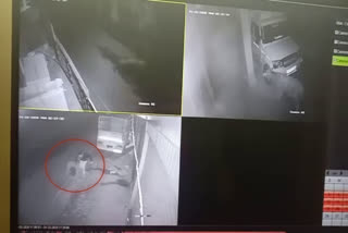 Tyre theft incident captured in CCTV camera, टायर चोरी करते हुए शातिर CCTV कैमरे में कैद