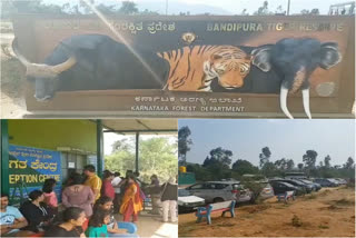 Bandipur Tiger Reserve