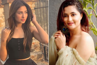 Bigg Boss 13: Rashami's fans label Mahhi a 'fake friend'