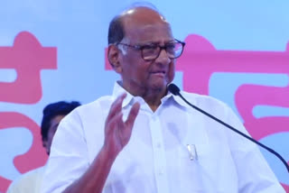 NCP leader sharad pawar criticises BJP government for diving people on religious lines