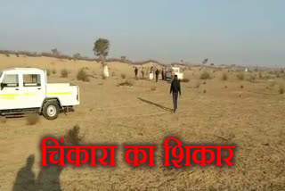 बीकानेर न्यूज, bikaner news