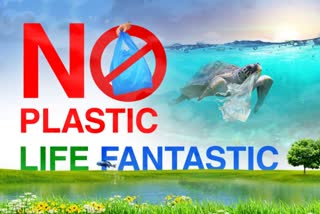 no plastic life fantastic