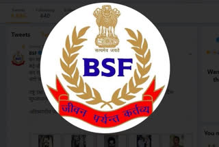 BSF