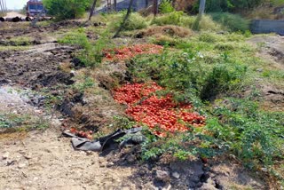 Tomato glut sinks prices in Raichur